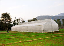 Ujjwal Farm
